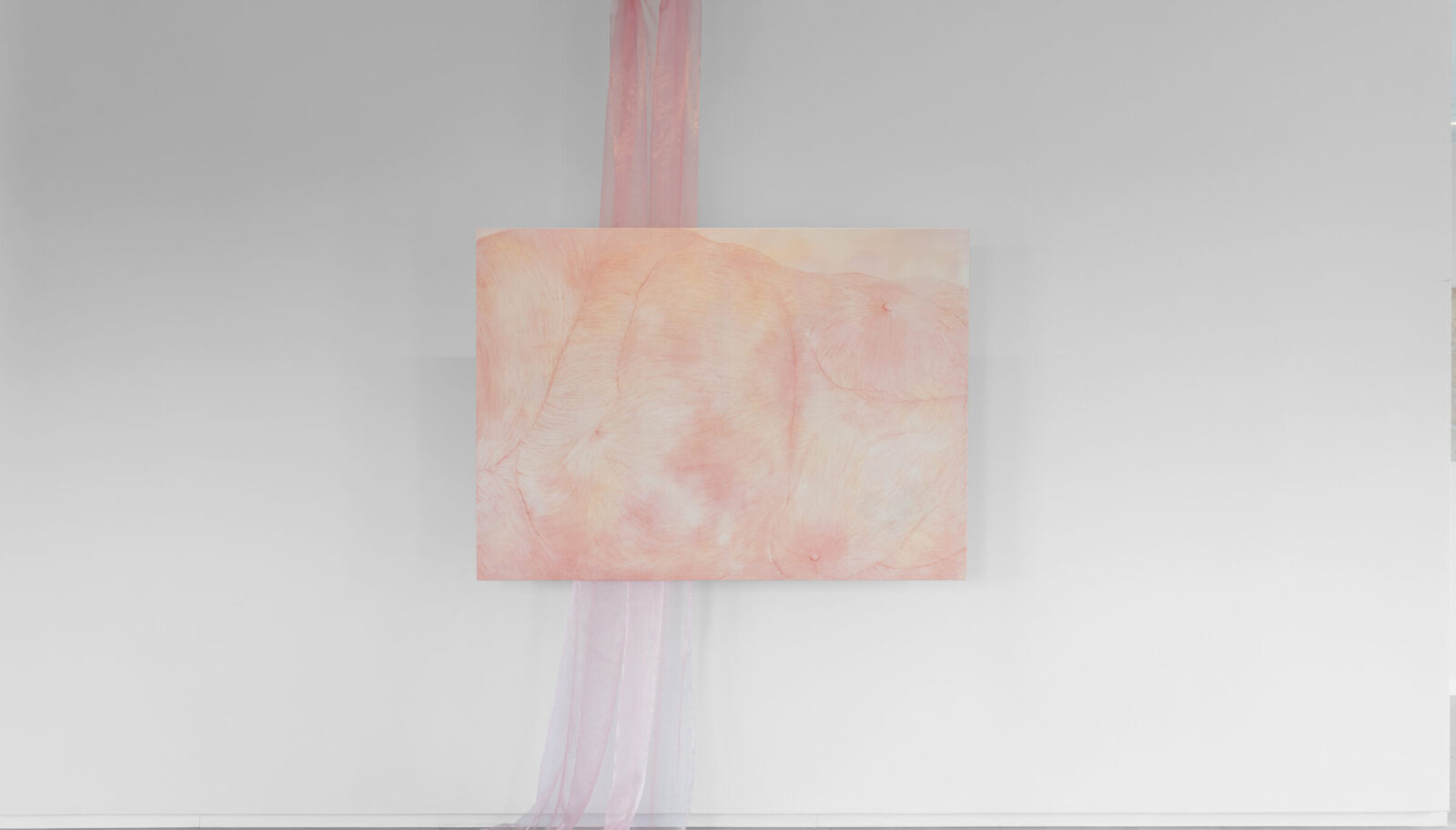 The Burden of Affirmation, exhibition view, photo: Alicja Kielan