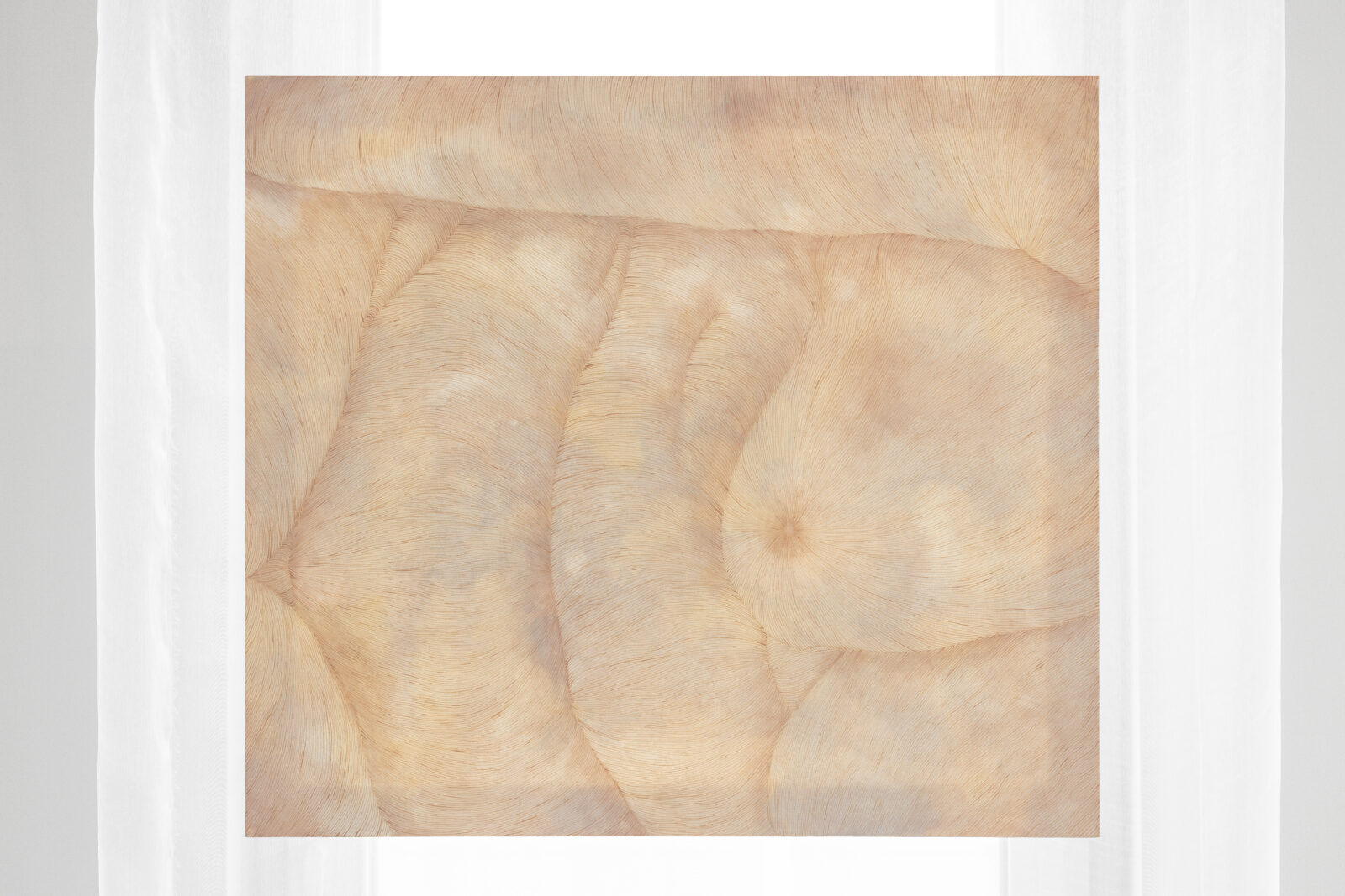 The Burden of Affirmation, exhibition view, photo: Alicja Kielan