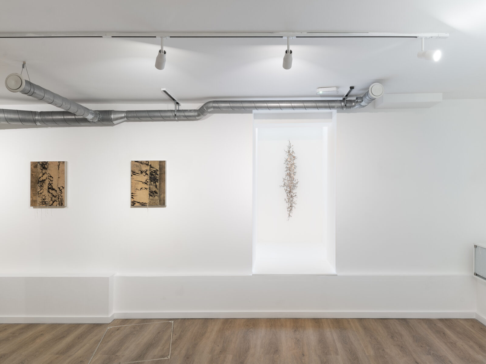 Æon, exhibition view, photo: JUDDartINDEX