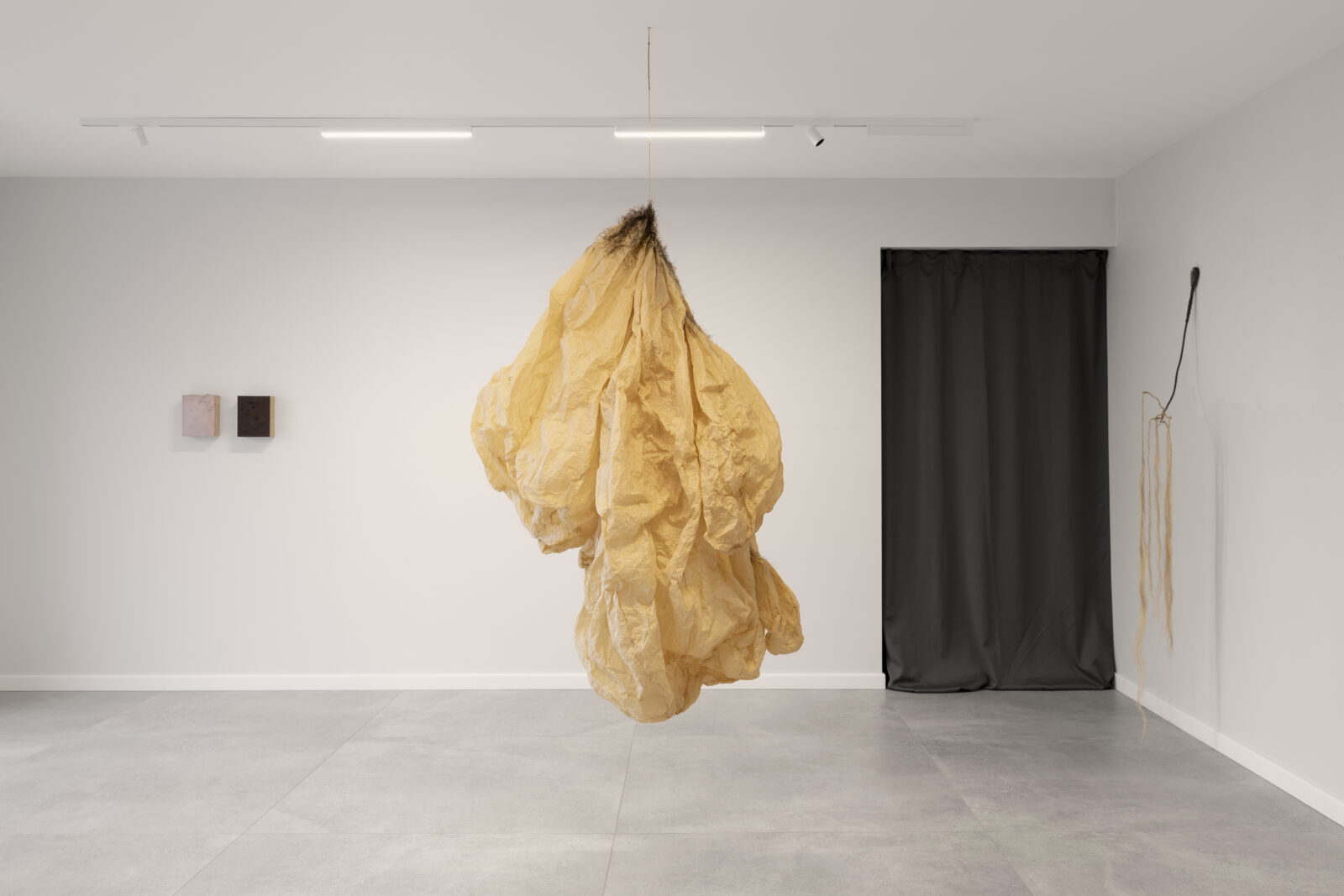 Zdjęcia: Alicja Kielan