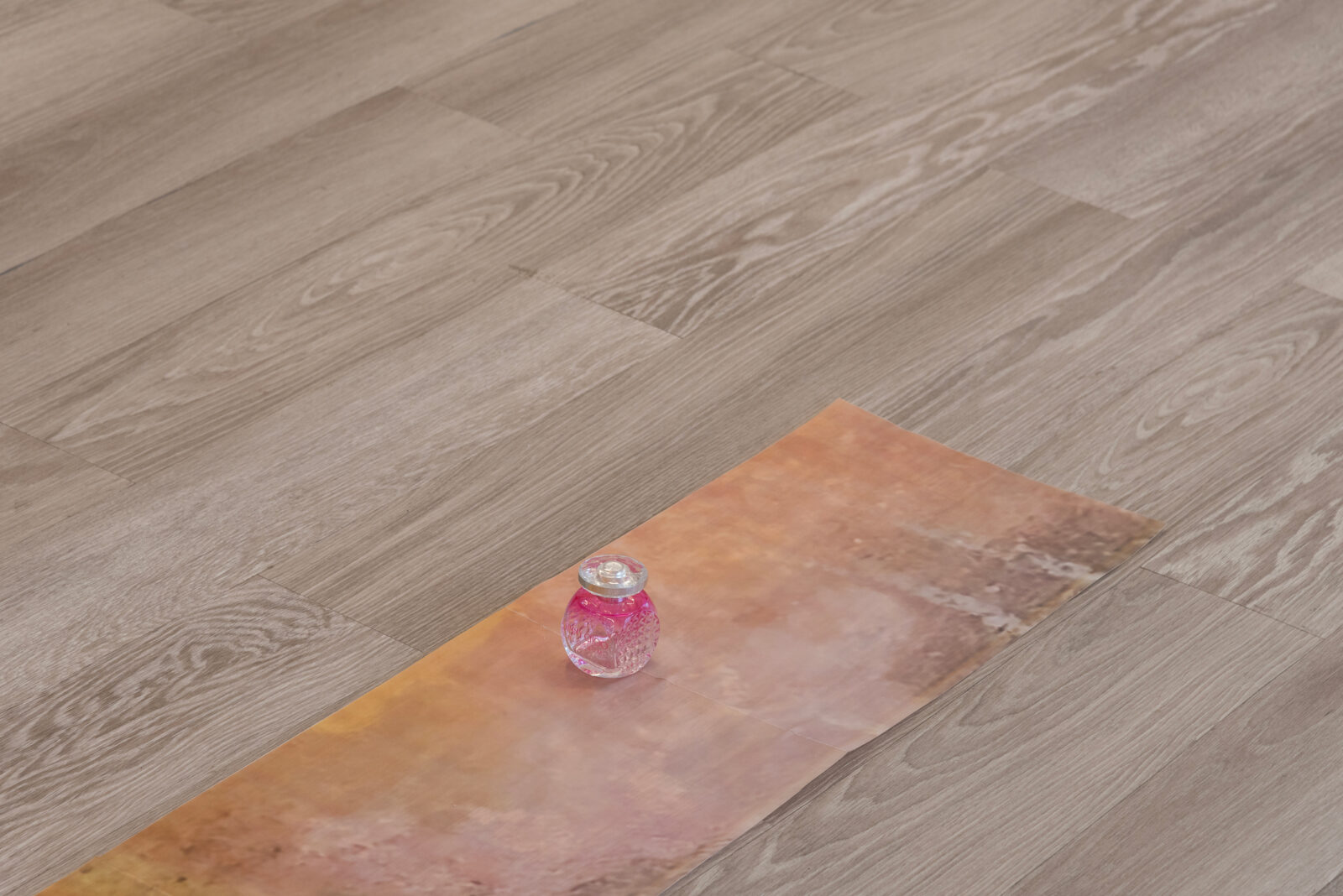 Zdjęcie: Studio AURA