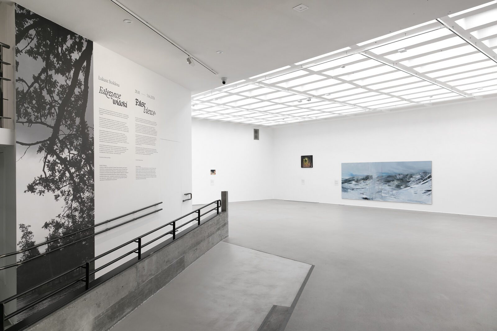Łukasz Stokłosa, Fałszywe widoki, Bunkier Sztuki. Zdjęcia - Rafał Sosin